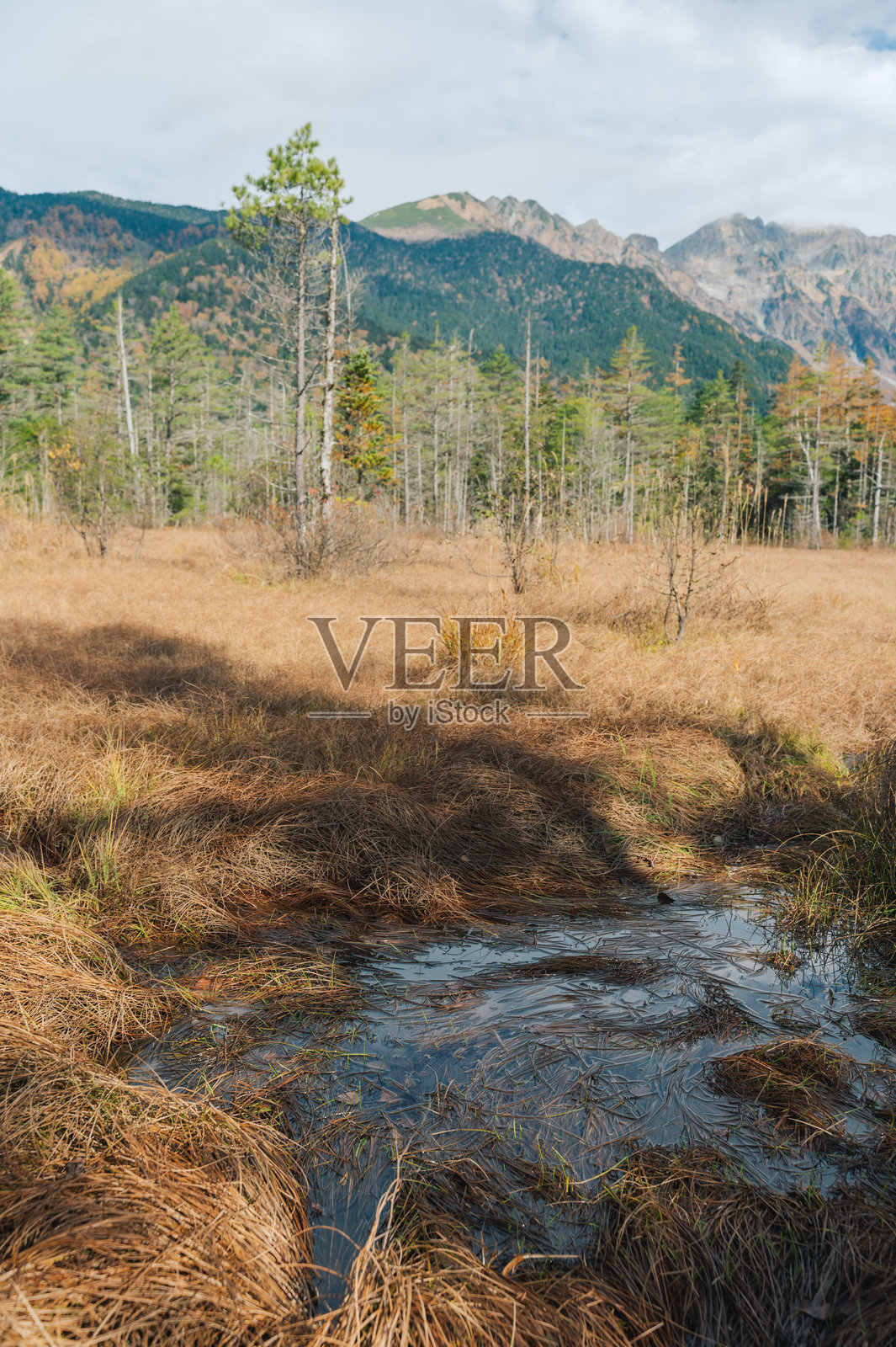 在日本长野的上高地，发现生机勃勃的秋天色彩，伴随着细雨。照片摄影图片