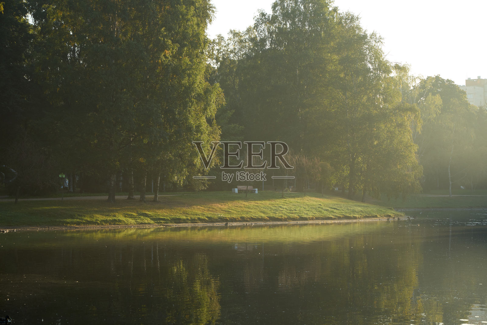 公园宁静的早晨，水面和周围环境的美丽倒影照片摄影图片