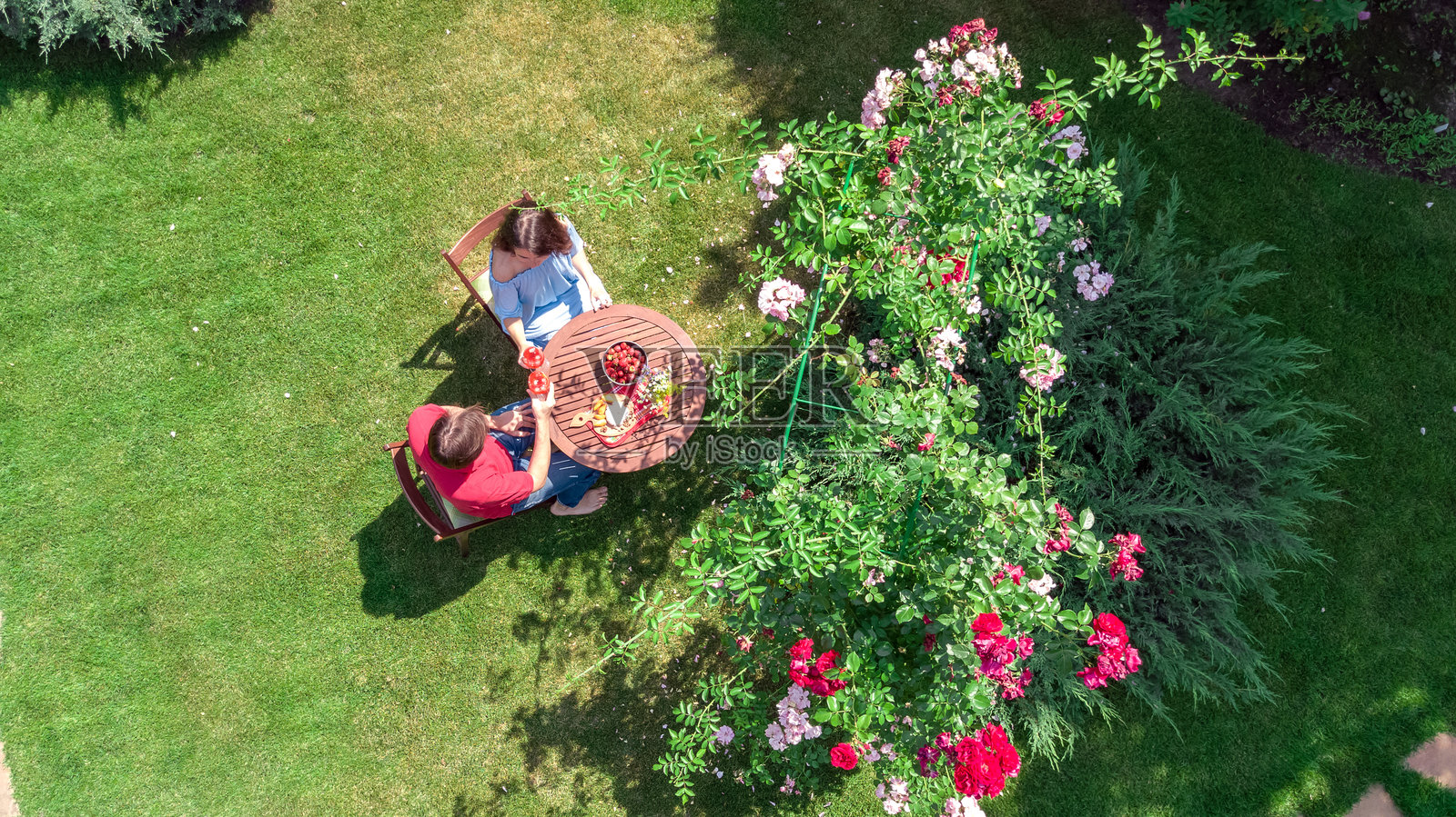 年轻情侣在美丽的玫瑰花园中享受美食和饮品，浪漫约会的空中无人机视角，男士和女士在公园户外一起用餐和饮水。照片摄影图片