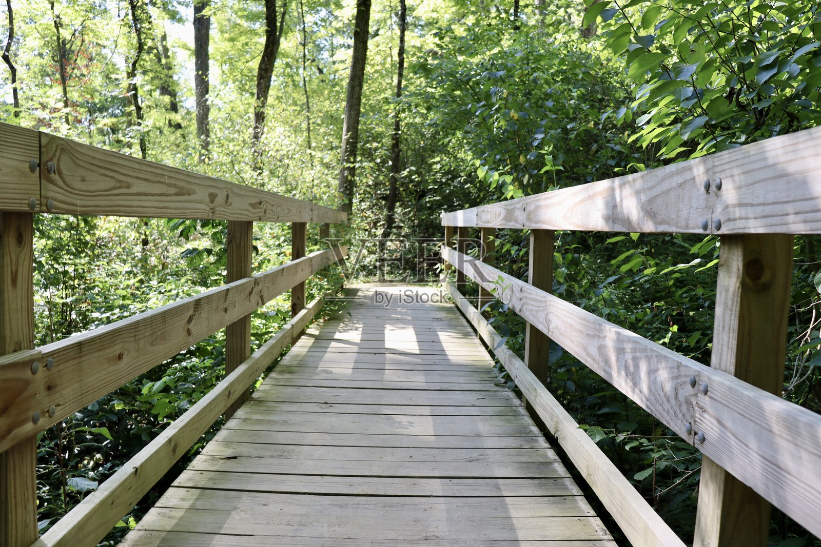 木桥照片摄影图片