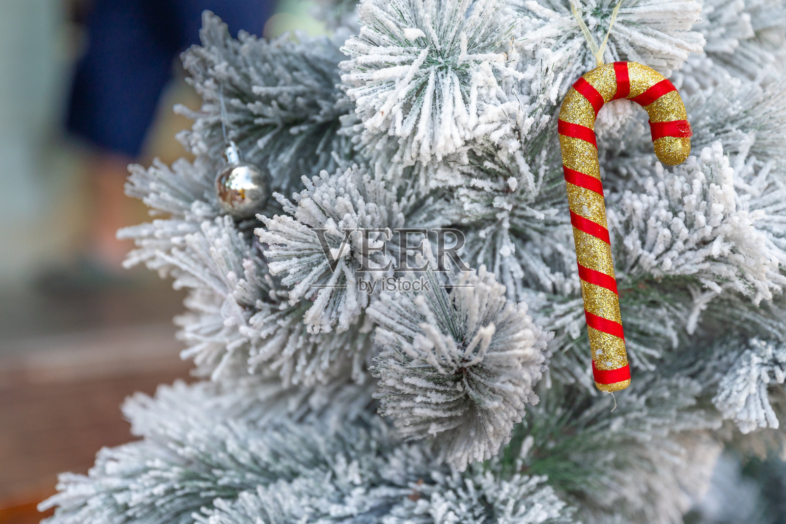 装饰有红色和白色的圣诞树照片摄影图片