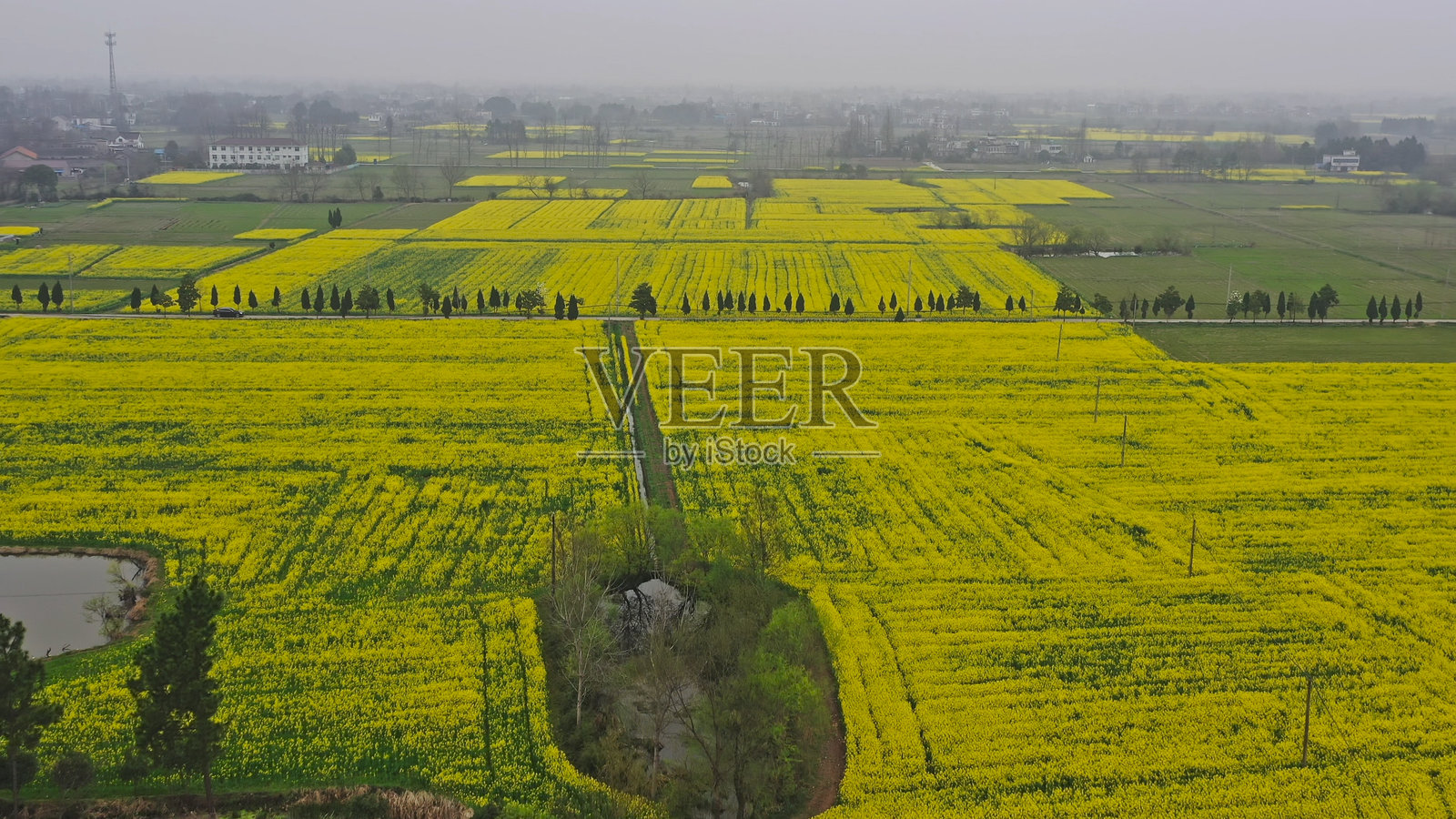油菜花田，徽州风格建筑，中国安徽省，亚洲。照片摄影图片