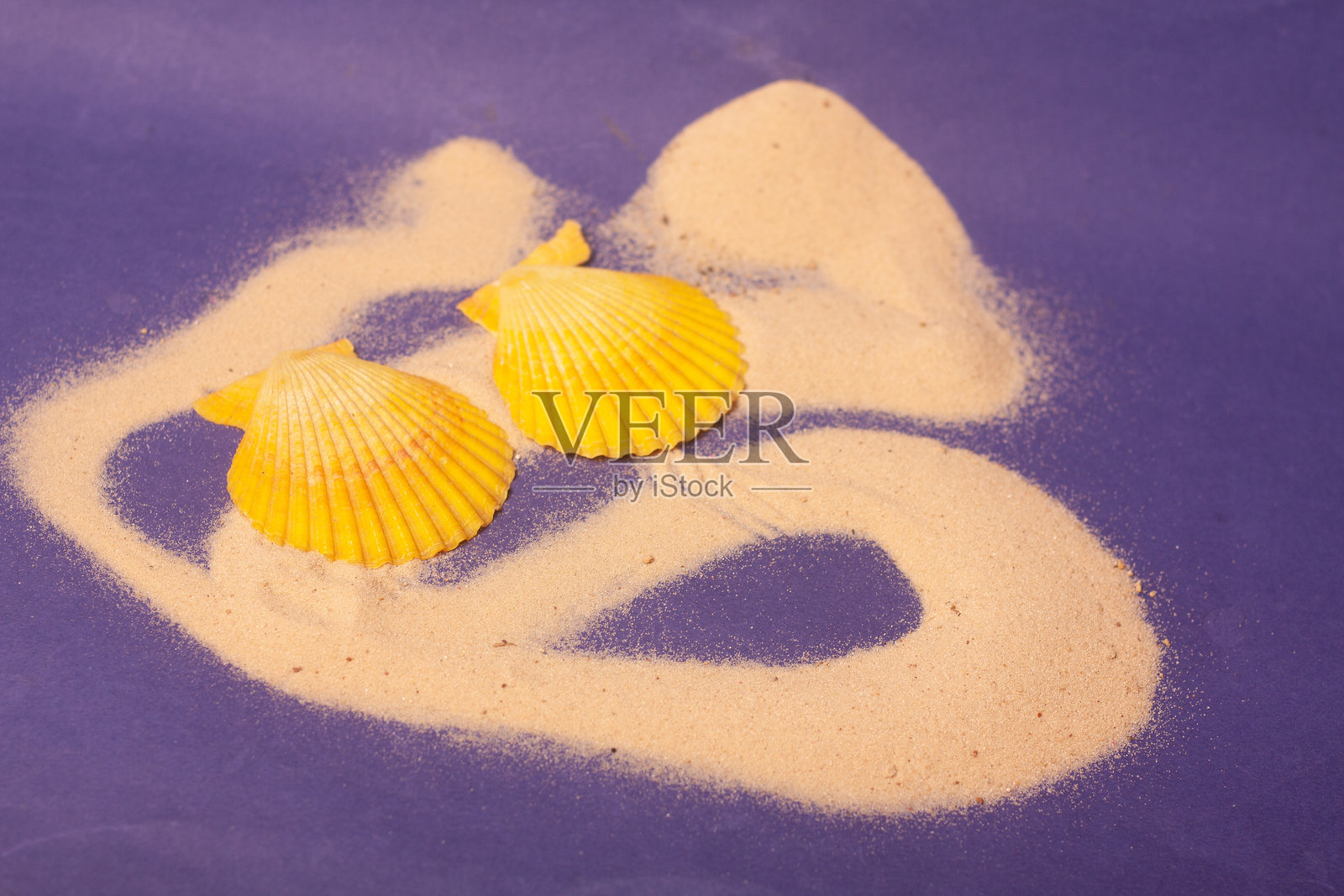 五彩缤纷的海贝壳照片摄影图片