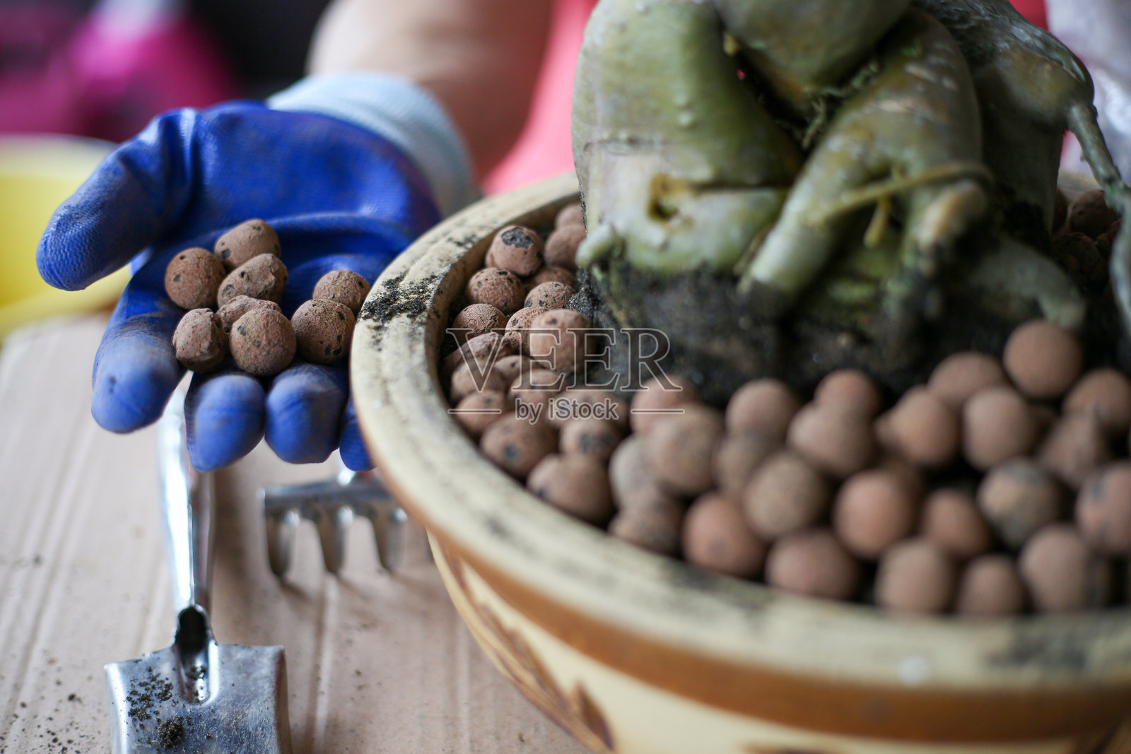 退休生活方式照片摄影图片