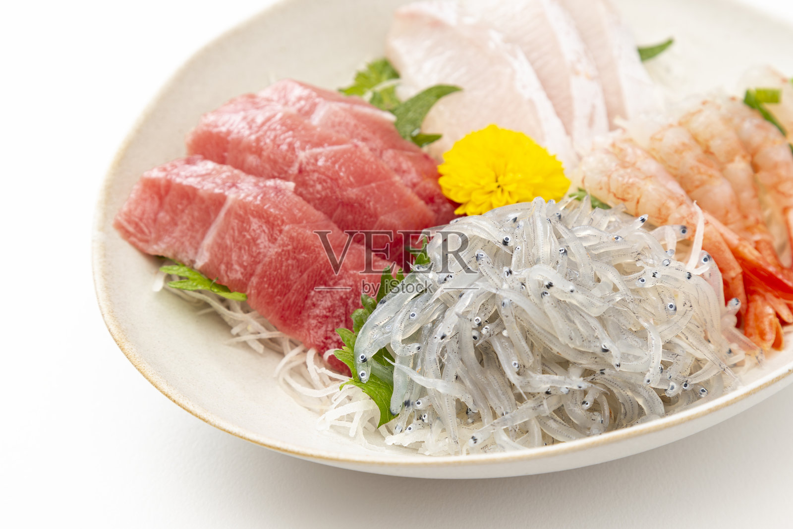 各种刺身在白色背景上照片摄影图片