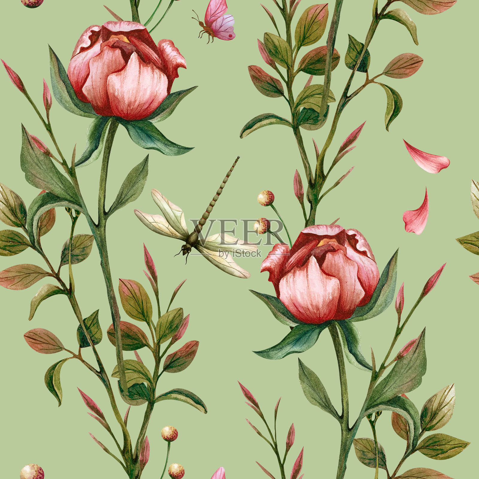 无缝图案，包含牡丹花蕾、叶子和昆虫。水彩插图，背景为柔和的绿色。手绘蜻蜓，适用于生日、国际妇女节明信片、纺织品和文具。插画图片素材