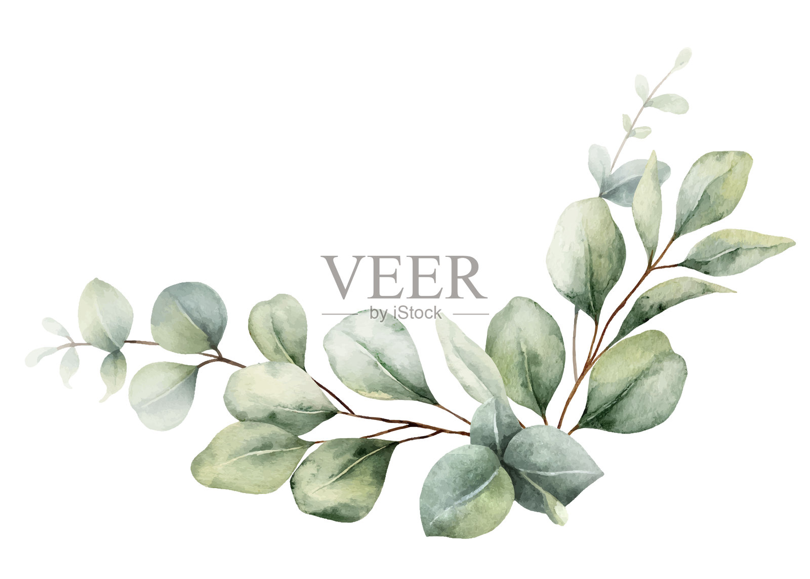 水彩矢量花环，带有绿色桉树叶和枝条。适用于婚礼邀请、贺卡、保存日期和文具设计的绿植剪贴画。手绘插图。插画图片素材