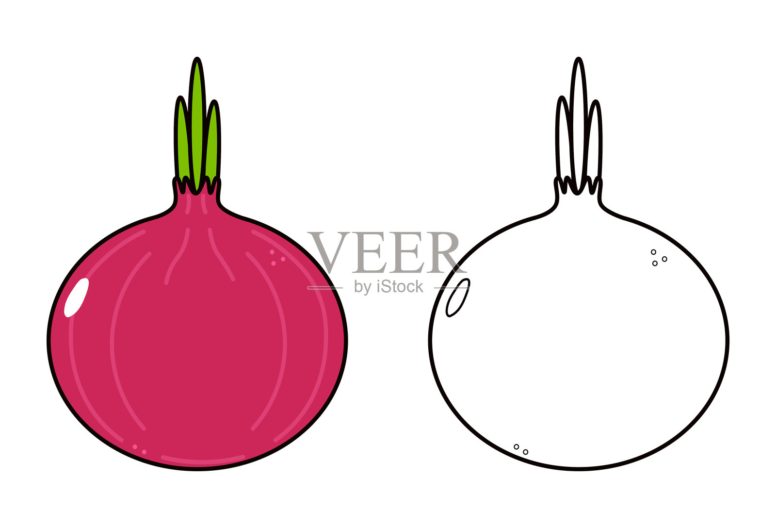 可爱的搞笑红洋葱轮廓卡通插图，适合涂色书使用插画图片素材