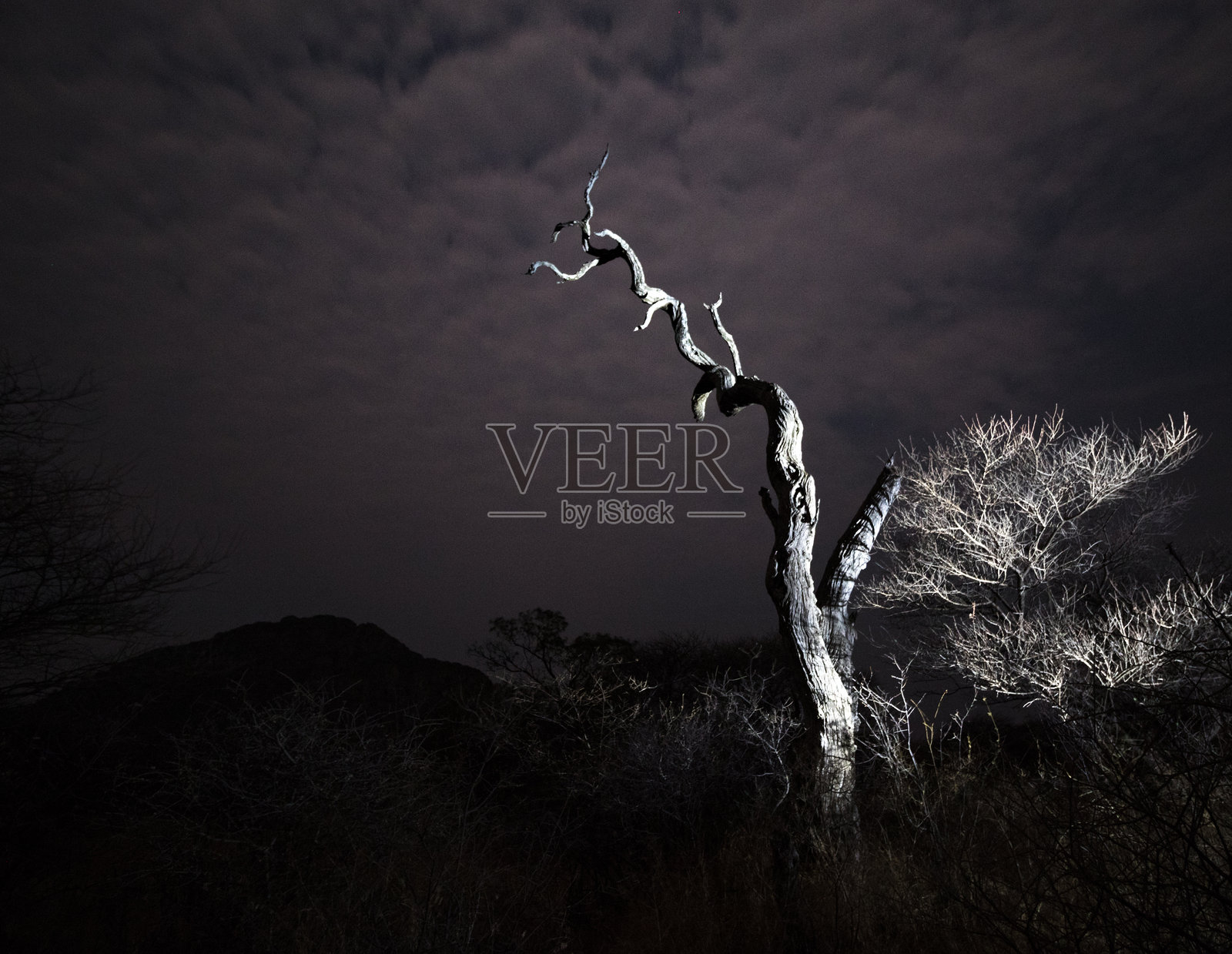 用光绘画照片摄影图片