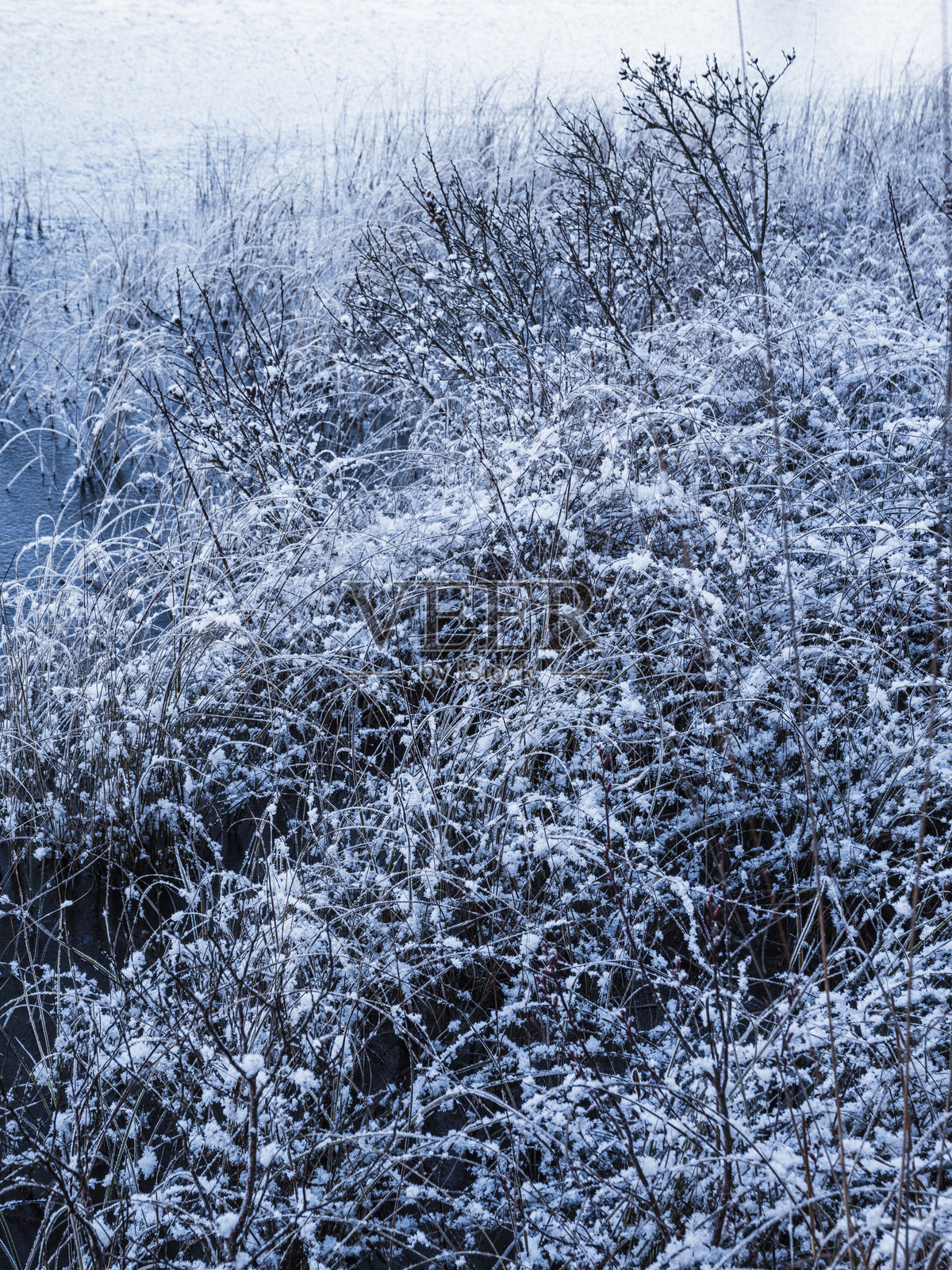 冬季风景，霜冻植被和宁静水道在清晨的安静自然环境中照片摄影图片