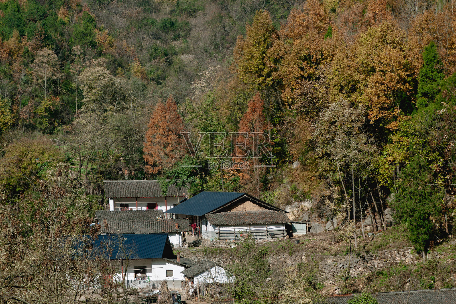凉山五道沟风景照片摄影图片