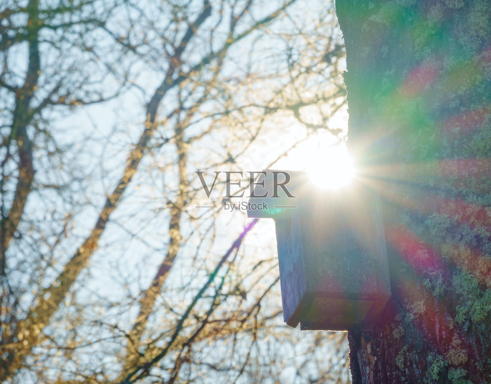 一座老旧的鸟屋挂在树上，等待着星鸲的到来照片摄影图片