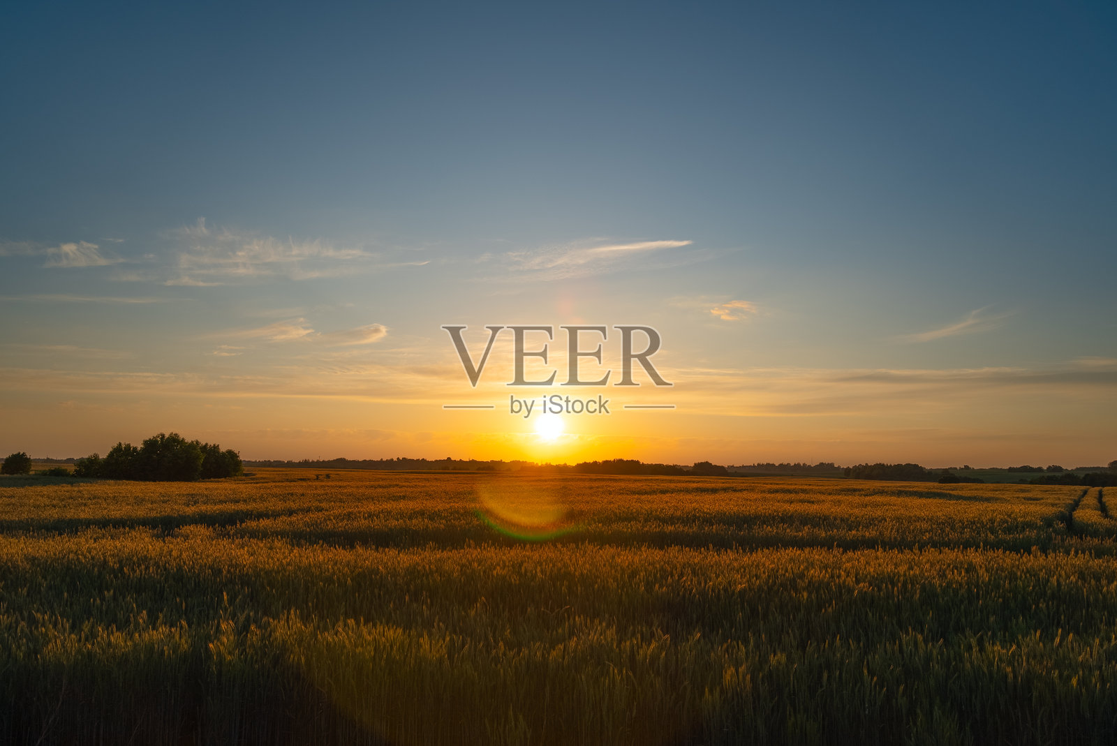 春天的麦田上空的日落照片摄影图片