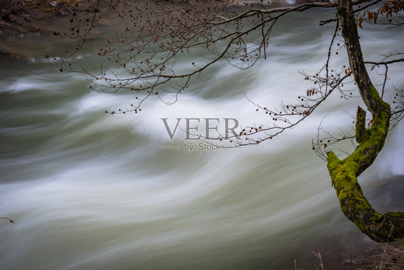 喀尔巴阡山脉森林中的奔流山河照片摄影图片