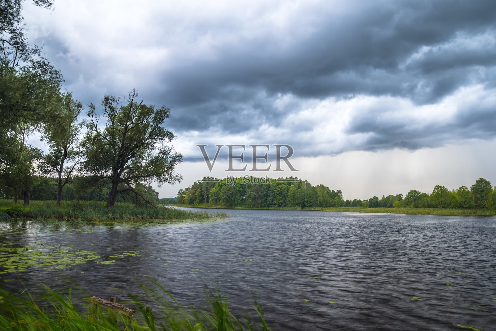 森林湖泊上的雨天照片摄影图片