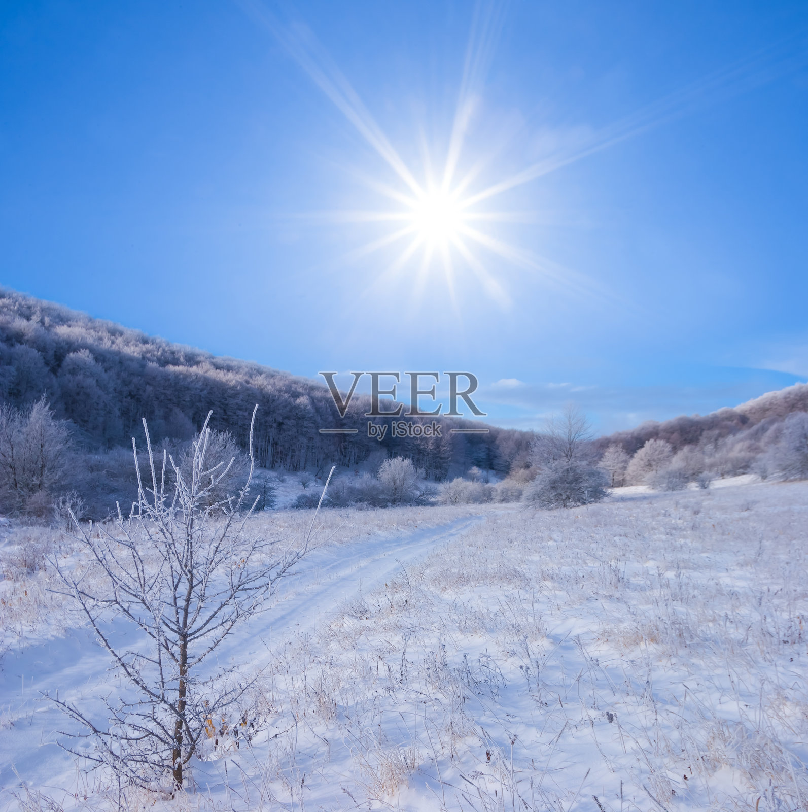 阳光明媚的日子里，雪覆盖的草地山谷照片摄影图片