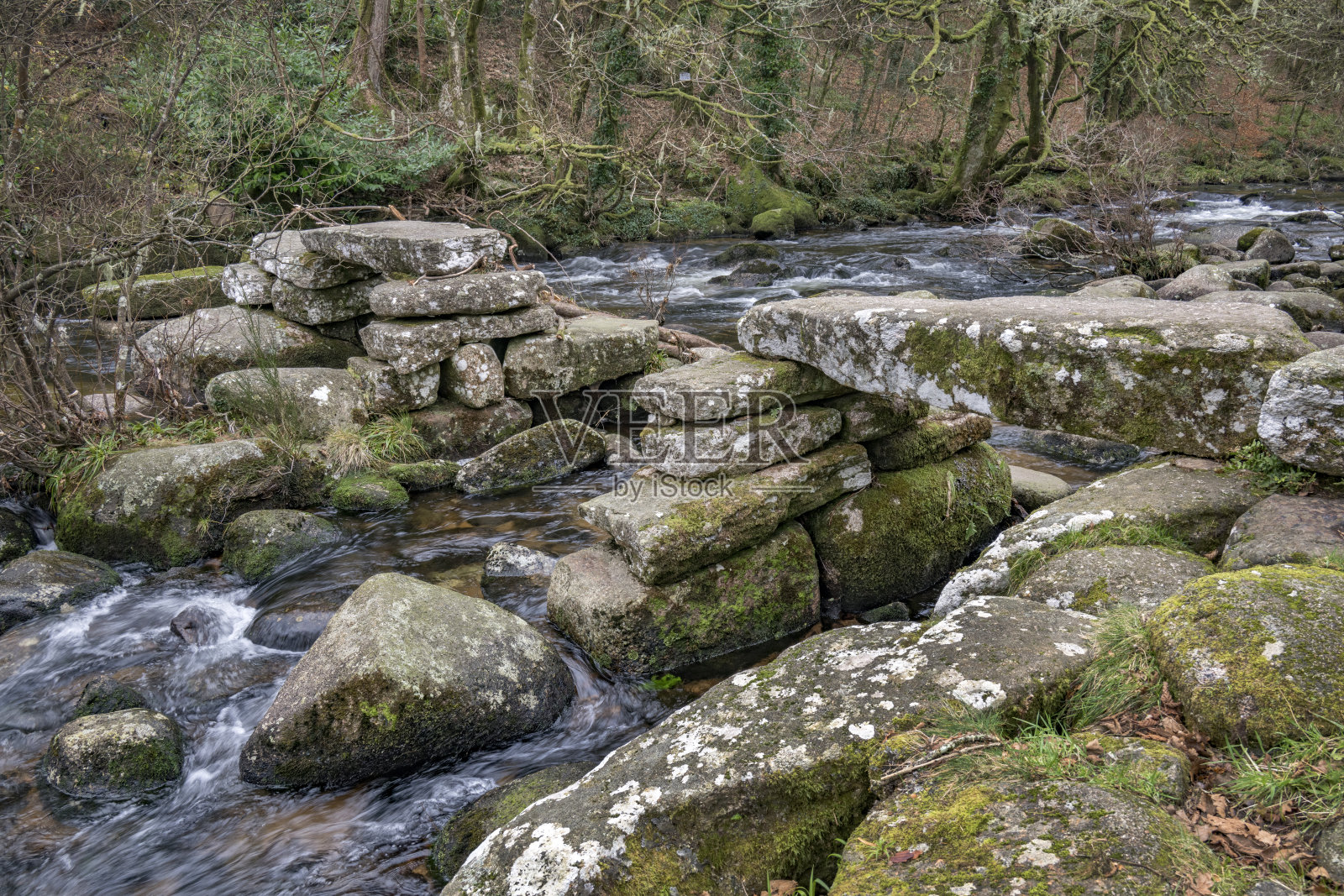 覆盖着苔藓和地衣的岩石照片摄影图片
