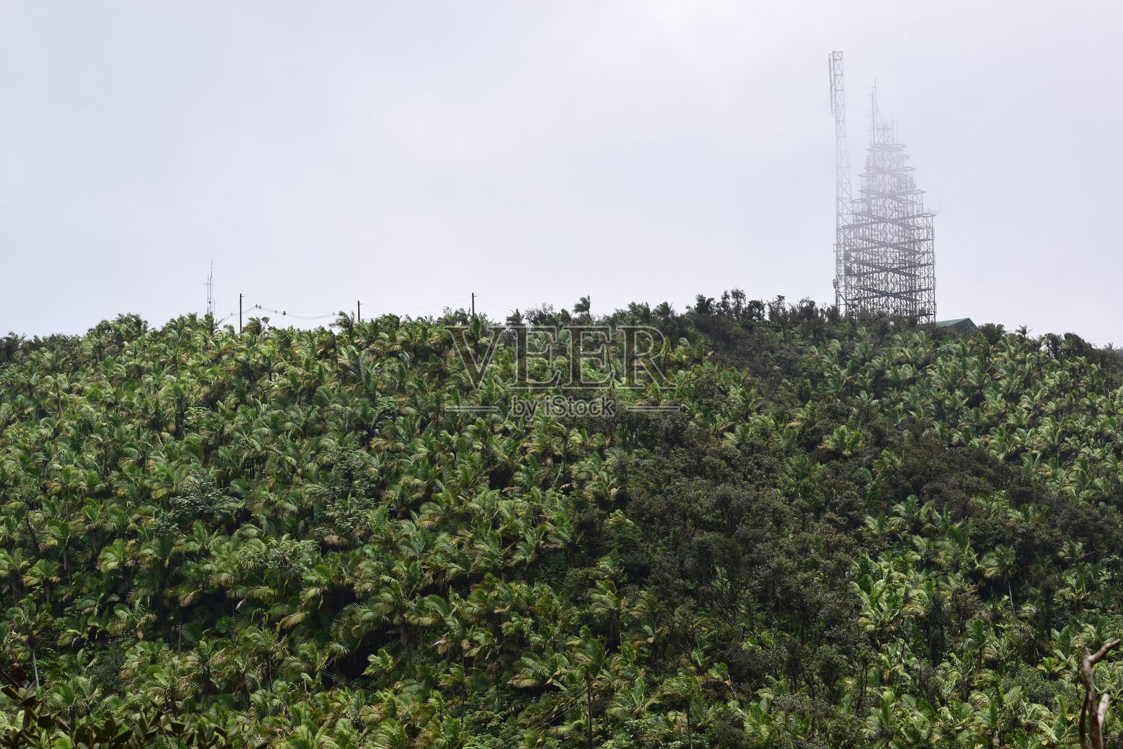 雾中的天线照片摄影图片