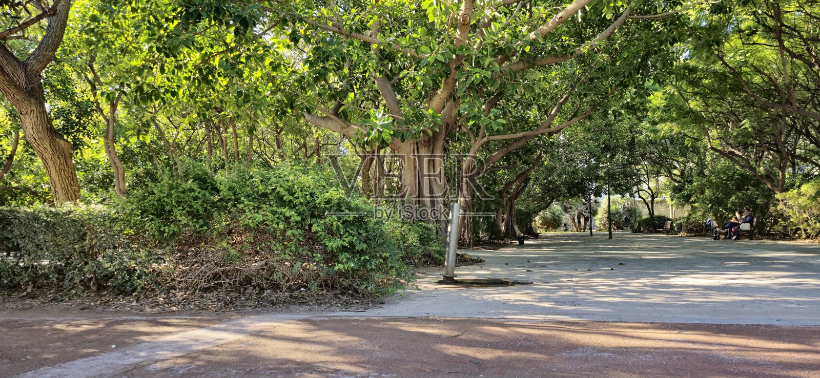 图里亚花园照片摄影图片