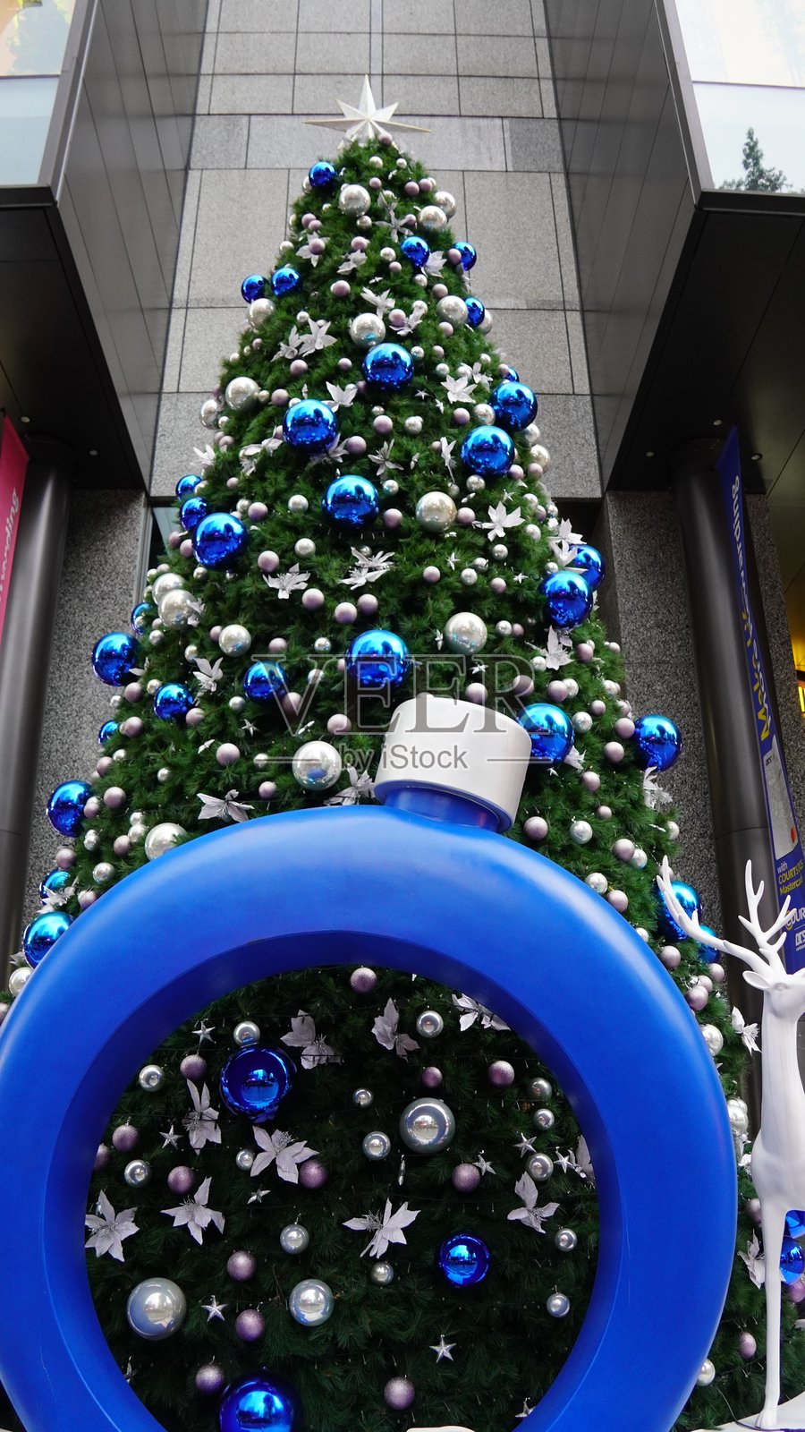 圣诞树照片摄影图片