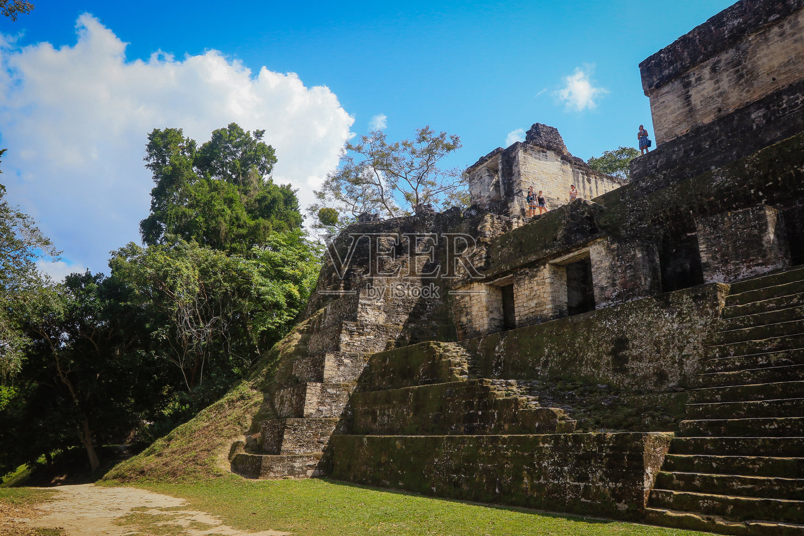 在明亮的蓝天和郁郁葱葱的绿树下探索危地马拉的提卡尔古遗址照片摄影图片
