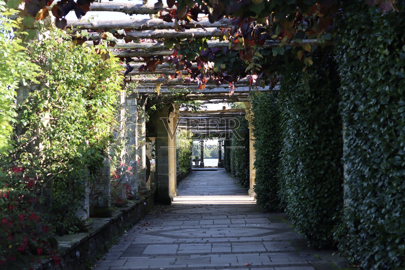 穿过花园的长隧道状小径照片摄影图片