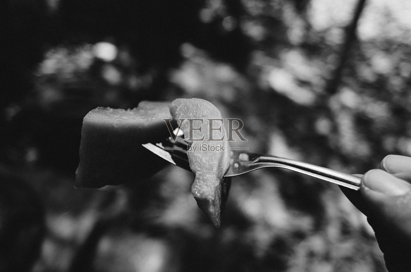 亚洲甜木瓜照片摄影图片