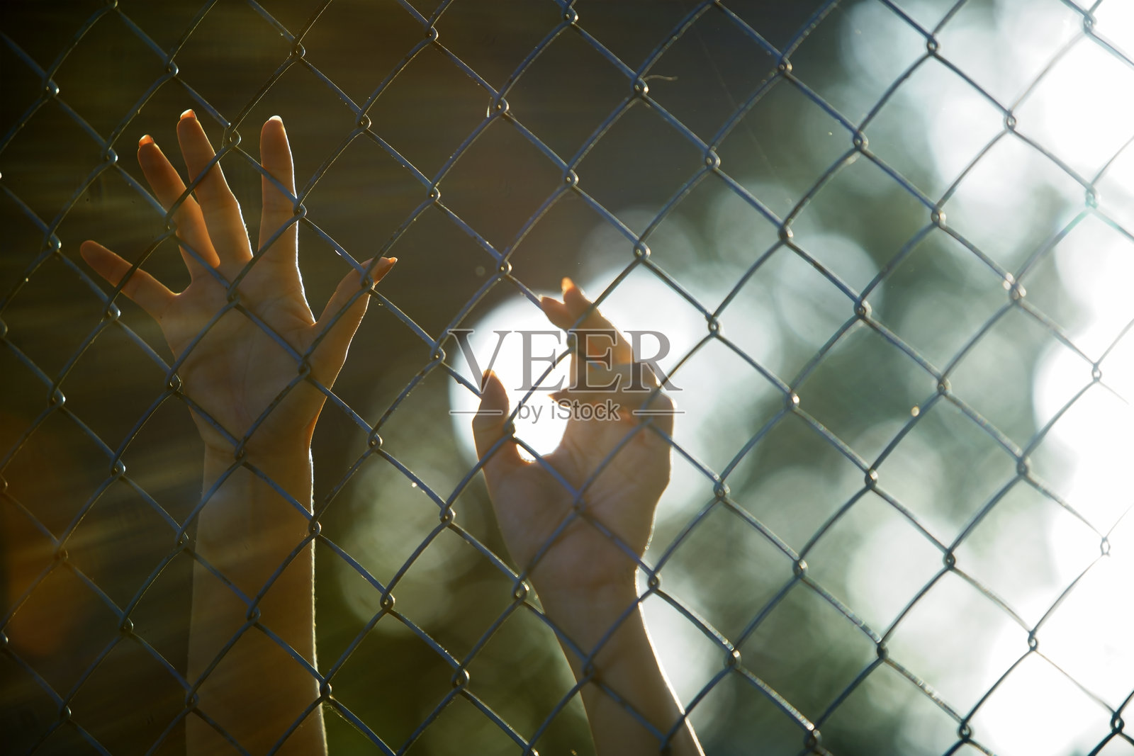 手伸过链条围栏，柔和阳光背景照片摄影图片