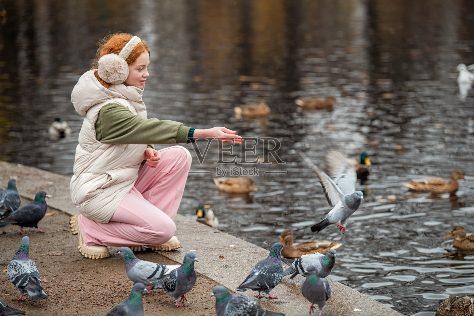 红发女孩在秋季城市公园散步时喂食在池塘中游泳的鸽子和鸭子。照片摄影图片