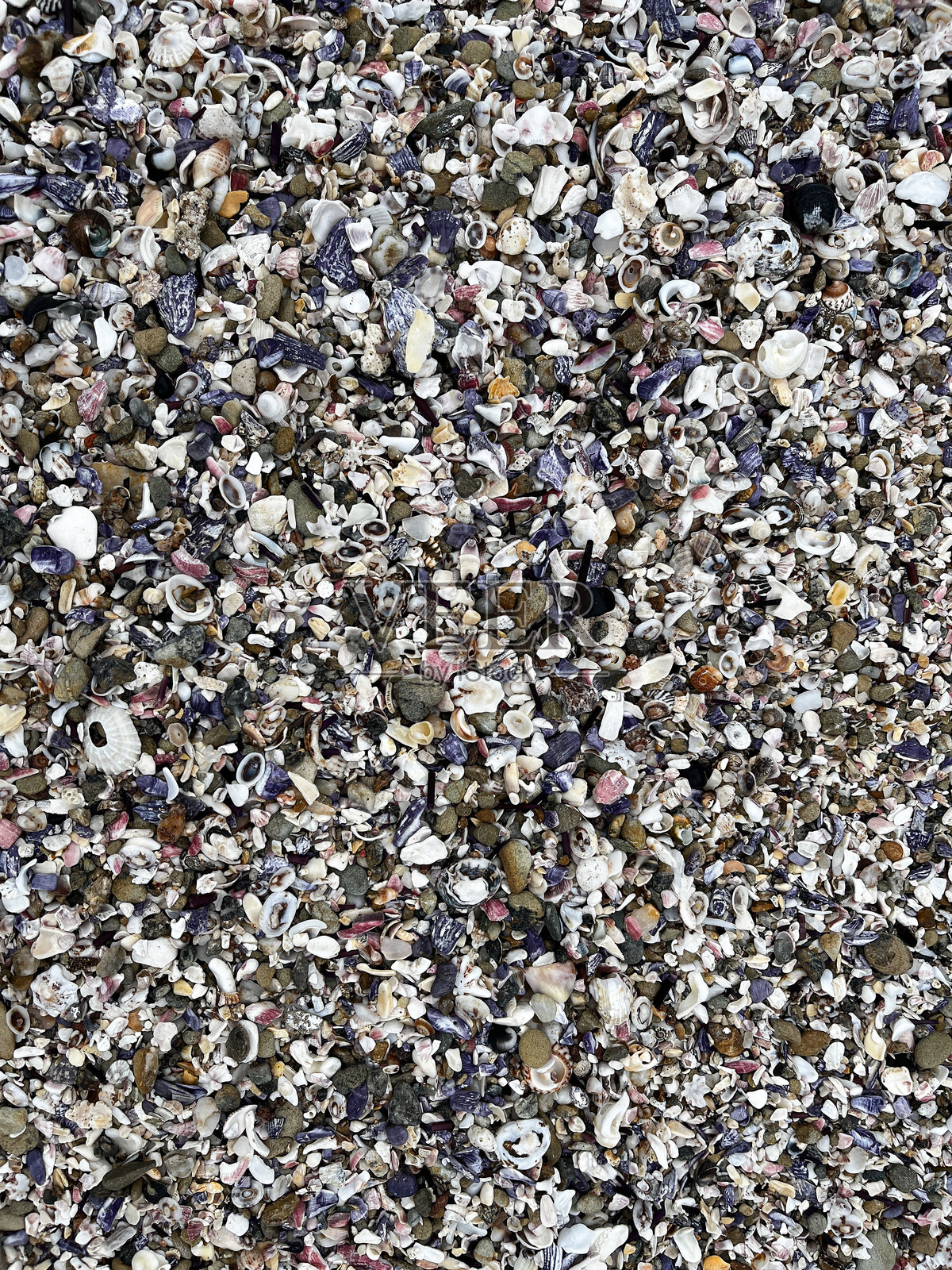 一张俯视海滩的照片，突显了带有小贝壳和散落岩石的纹理沙子，非常适合设计和图案灵感。照片摄影图片