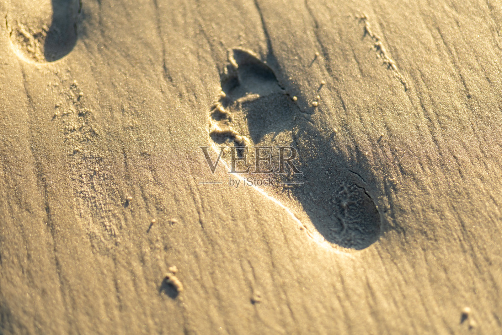 日落时分，金色沙滩上的脚印捕捉到宁静与自然的连接时刻照片摄影图片