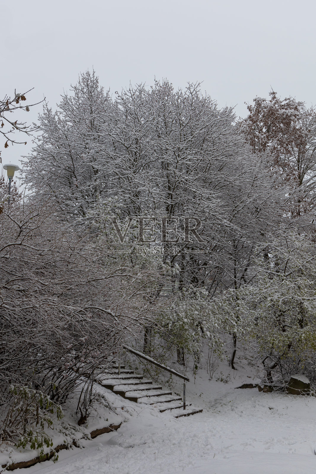 冬季城市风景。树木、小径和雪下的台阶。照片摄影图片