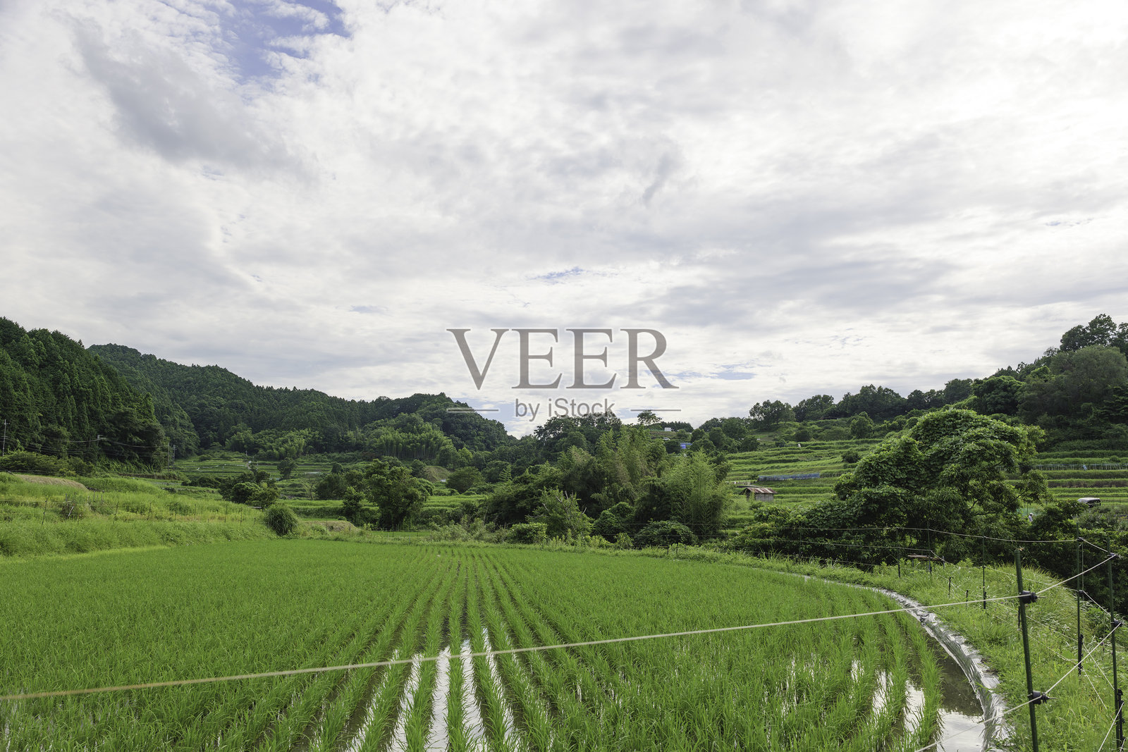 在阴云密布的天空下，稻田的绿色与山脉形成了美丽的对比。照片摄影图片