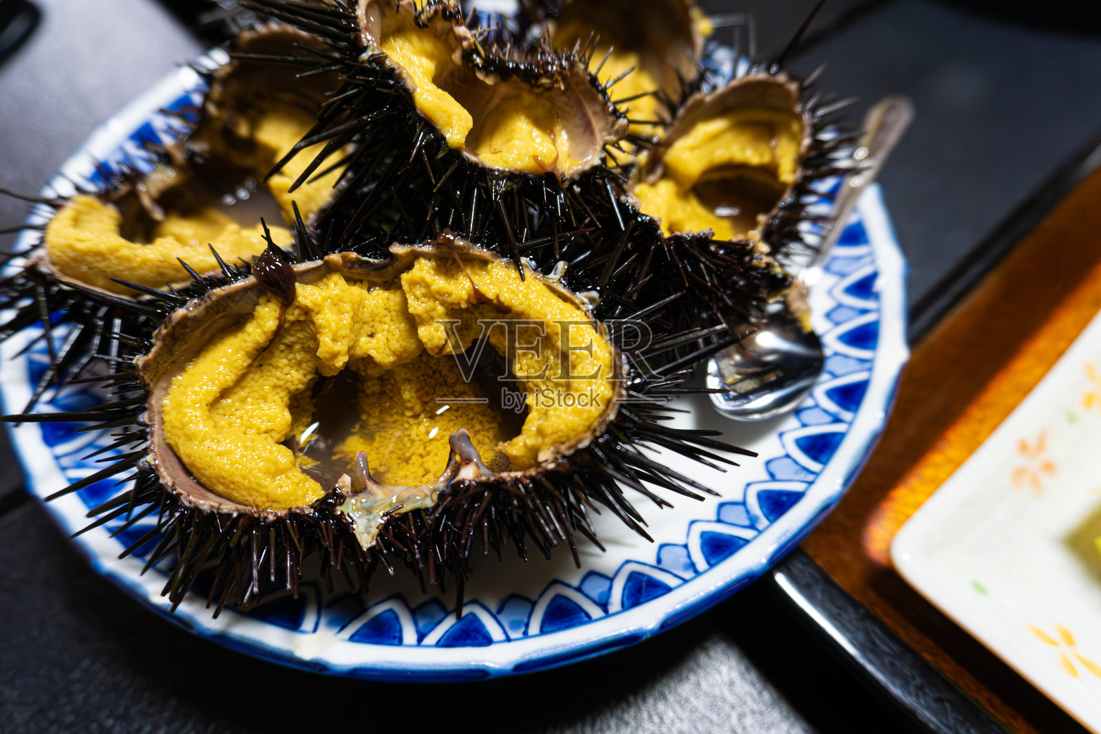 海胆照片摄影图片