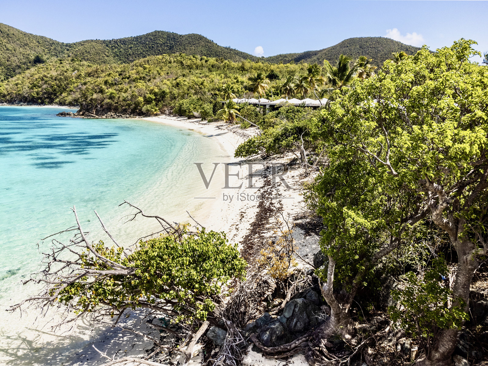 美属维尔京群岛圣约翰岛的航海与度假，享受美丽的海滩、棕榈树和碧蓝的海水。照片摄影图片