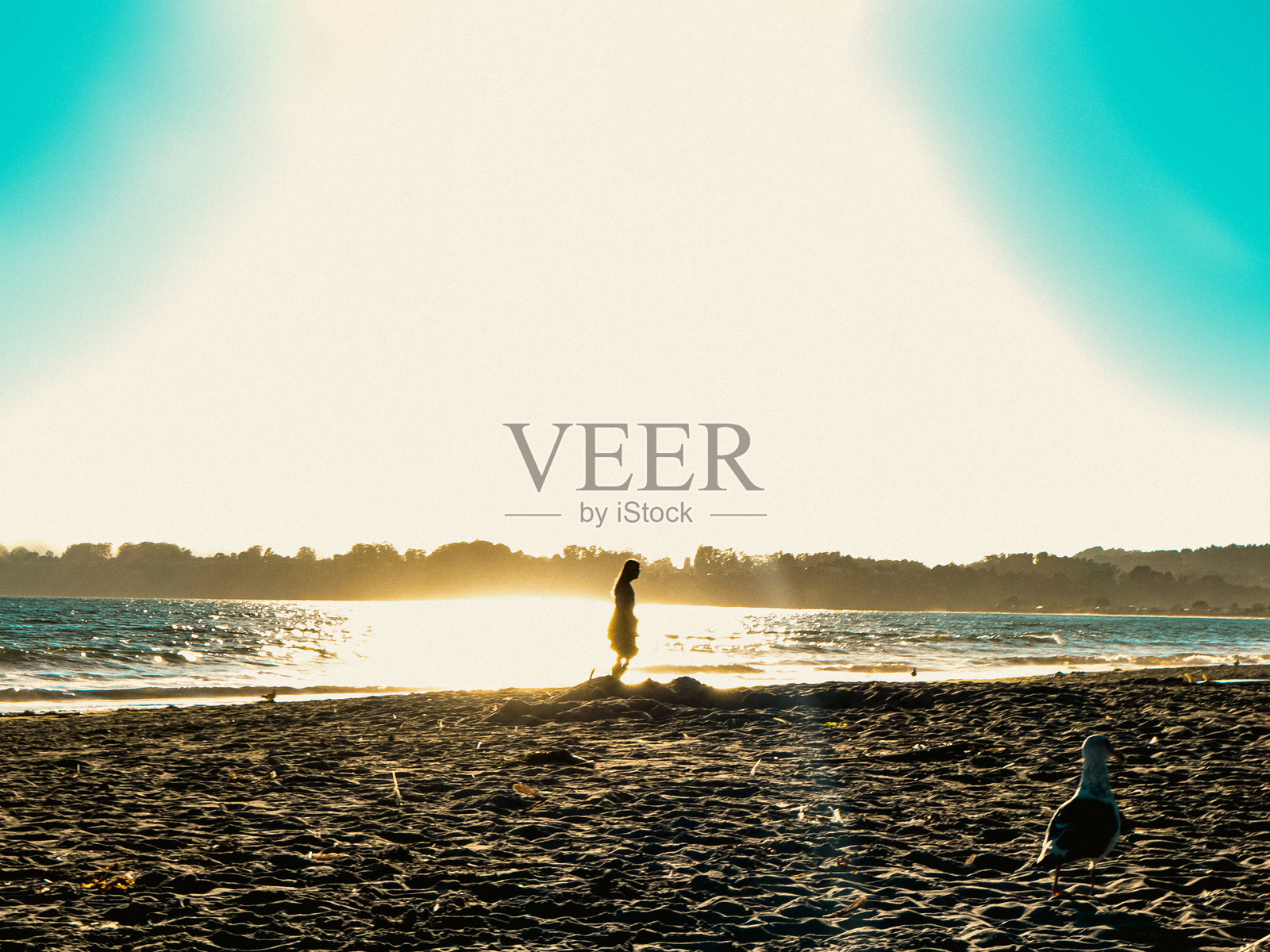 海滩上的女孩照片摄影图片