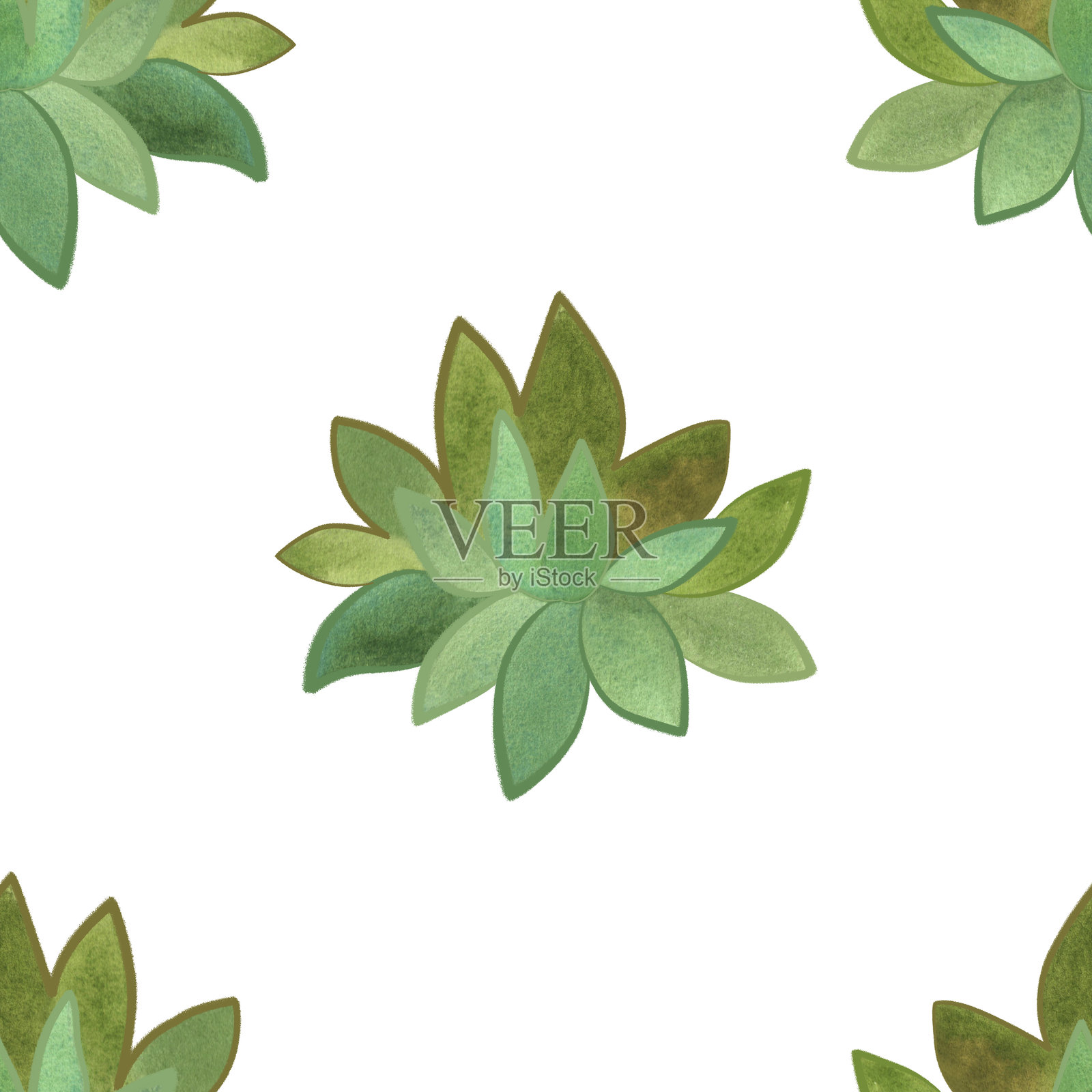 多肉植物：白色背景上的无缝水彩图案，适用于包装纸和织物印刷，家居纺织品。家庭园艺，爱好。插画图片素材