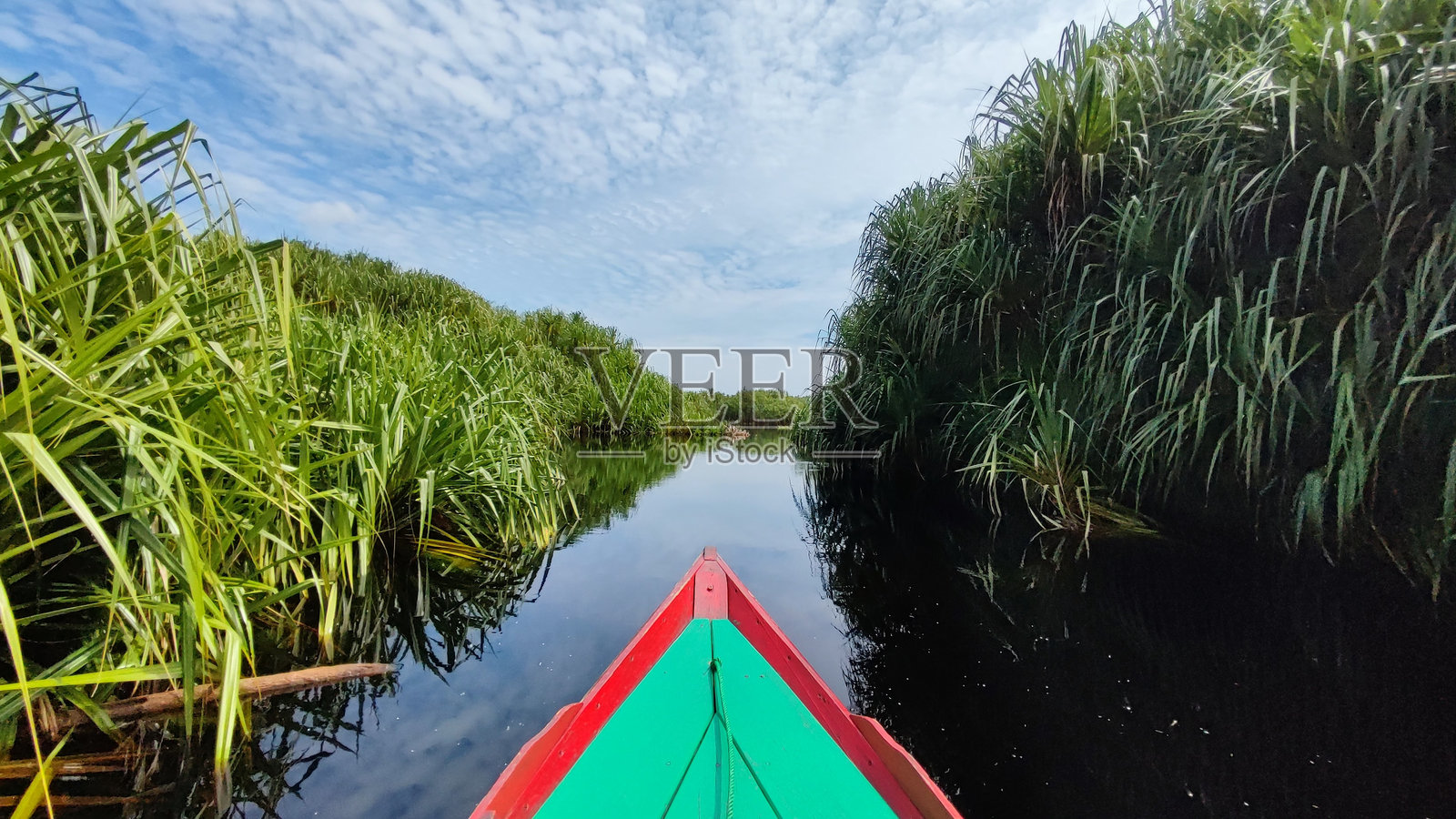 塞邦瑙国家公园照片摄影图片