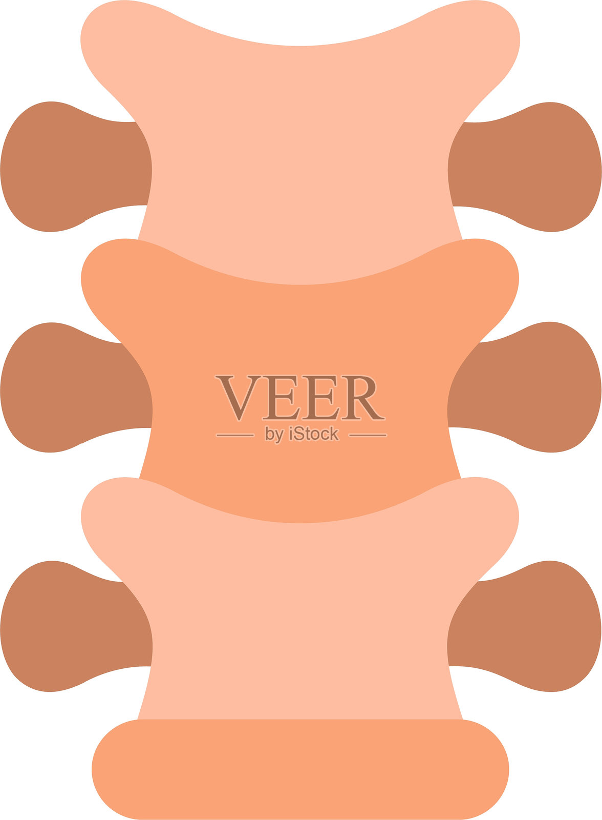 脊髓扁平矢量图标设计插画图片素材