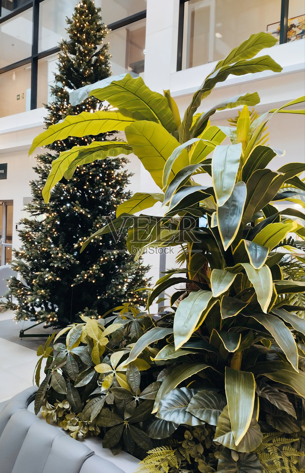 办公室里的新年树照片摄影图片