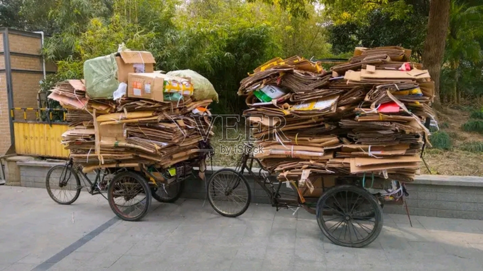 盒子照片摄影图片