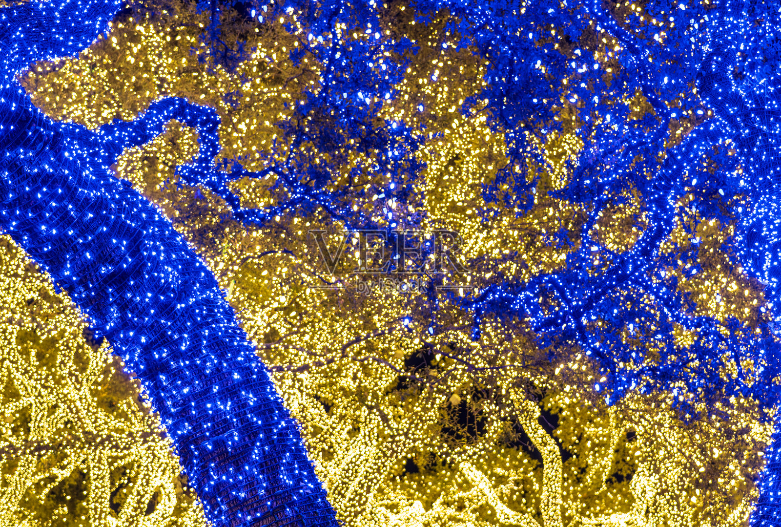 德克萨斯州约翰逊市的节日灯光盛宴照片摄影图片