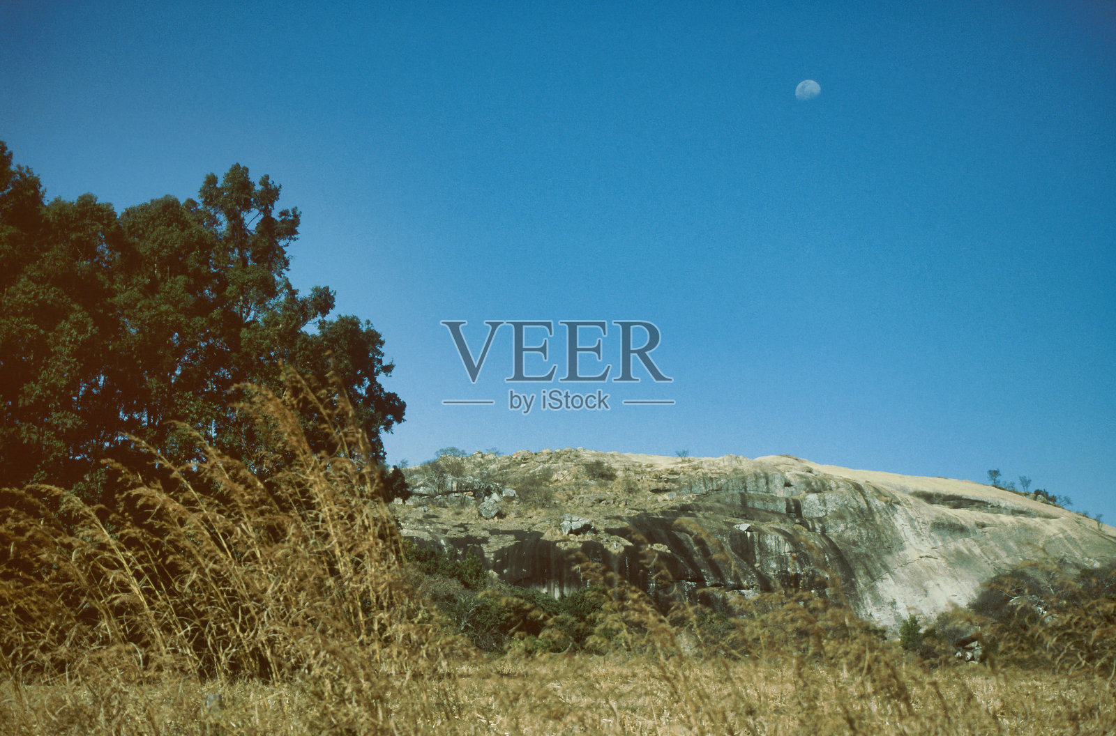 你常见的风景照片摄影图片