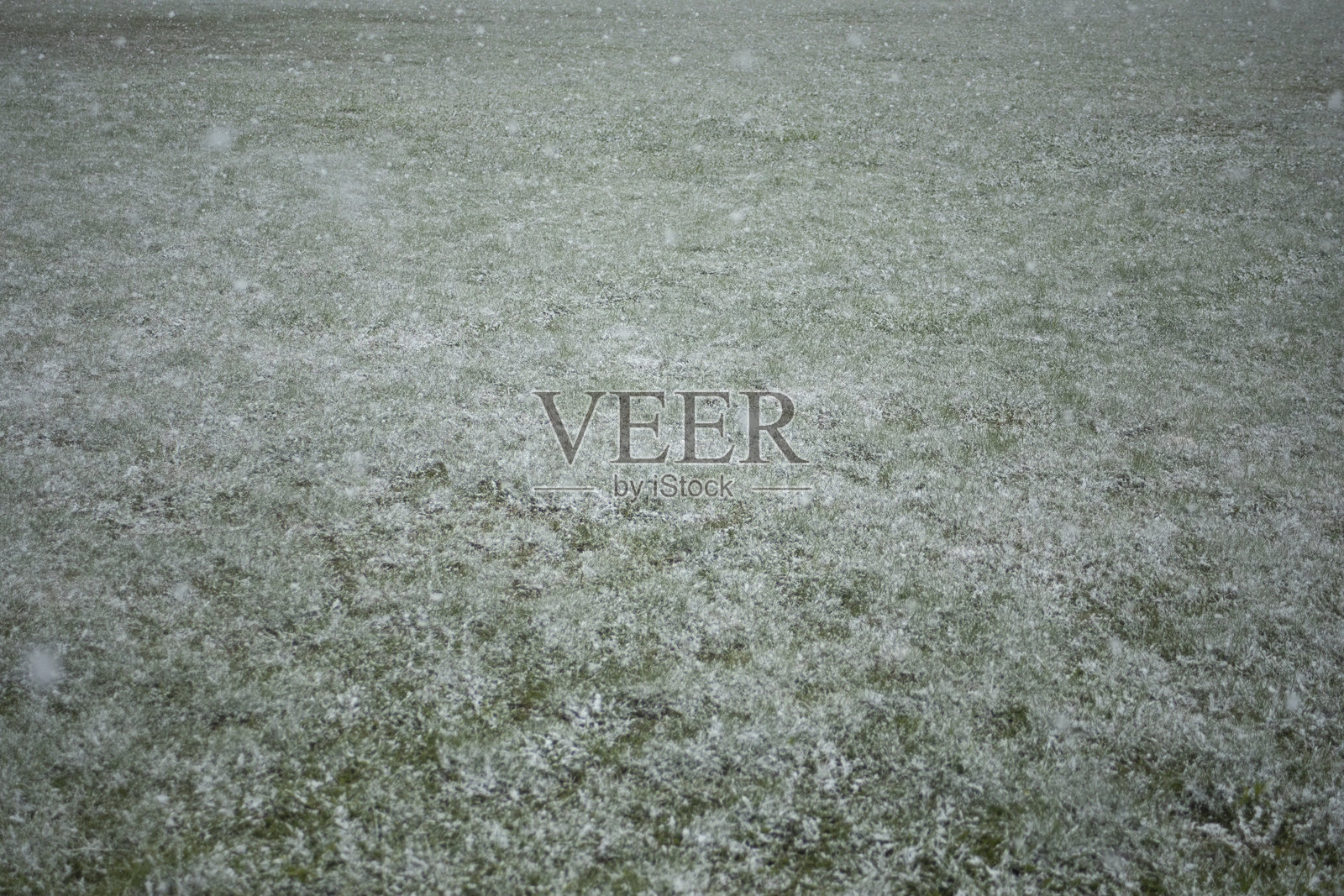 外面的第一场雪。暴风雪的开始。积雪覆盖。天气的变化。照片摄影图片