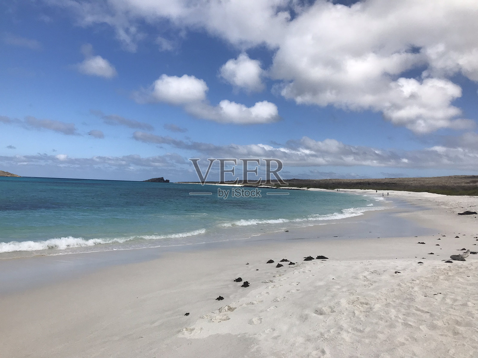 加拉帕戈斯海滩 1照片摄影图片