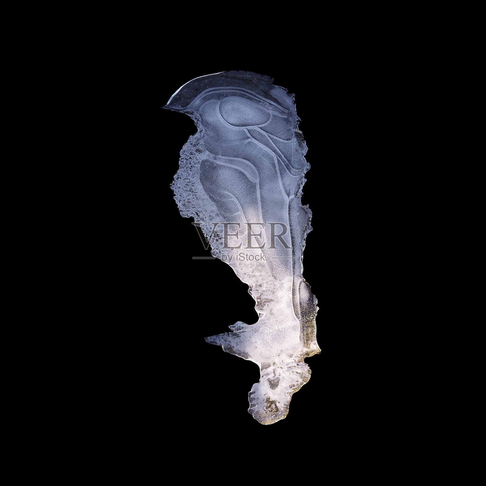 猫头鹰照片摄影图片