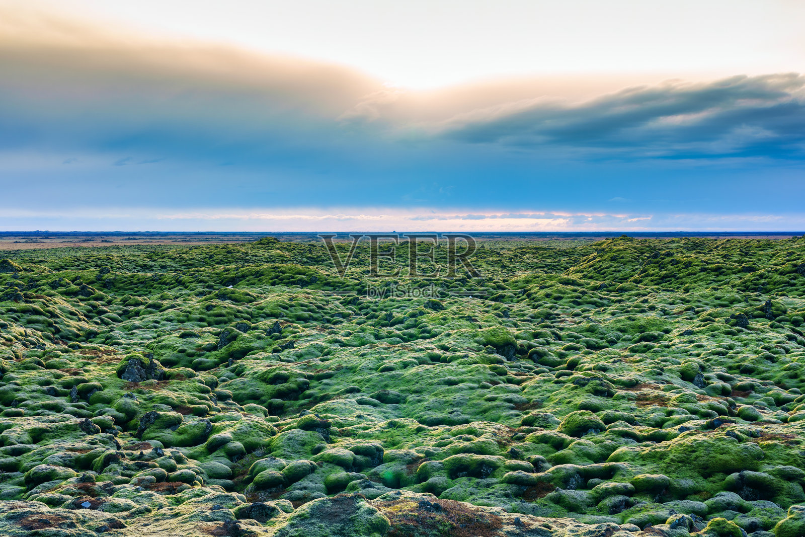 冰岛夏季被苔藓覆盖的埃尔德拉恩熔岩场照片摄影图片