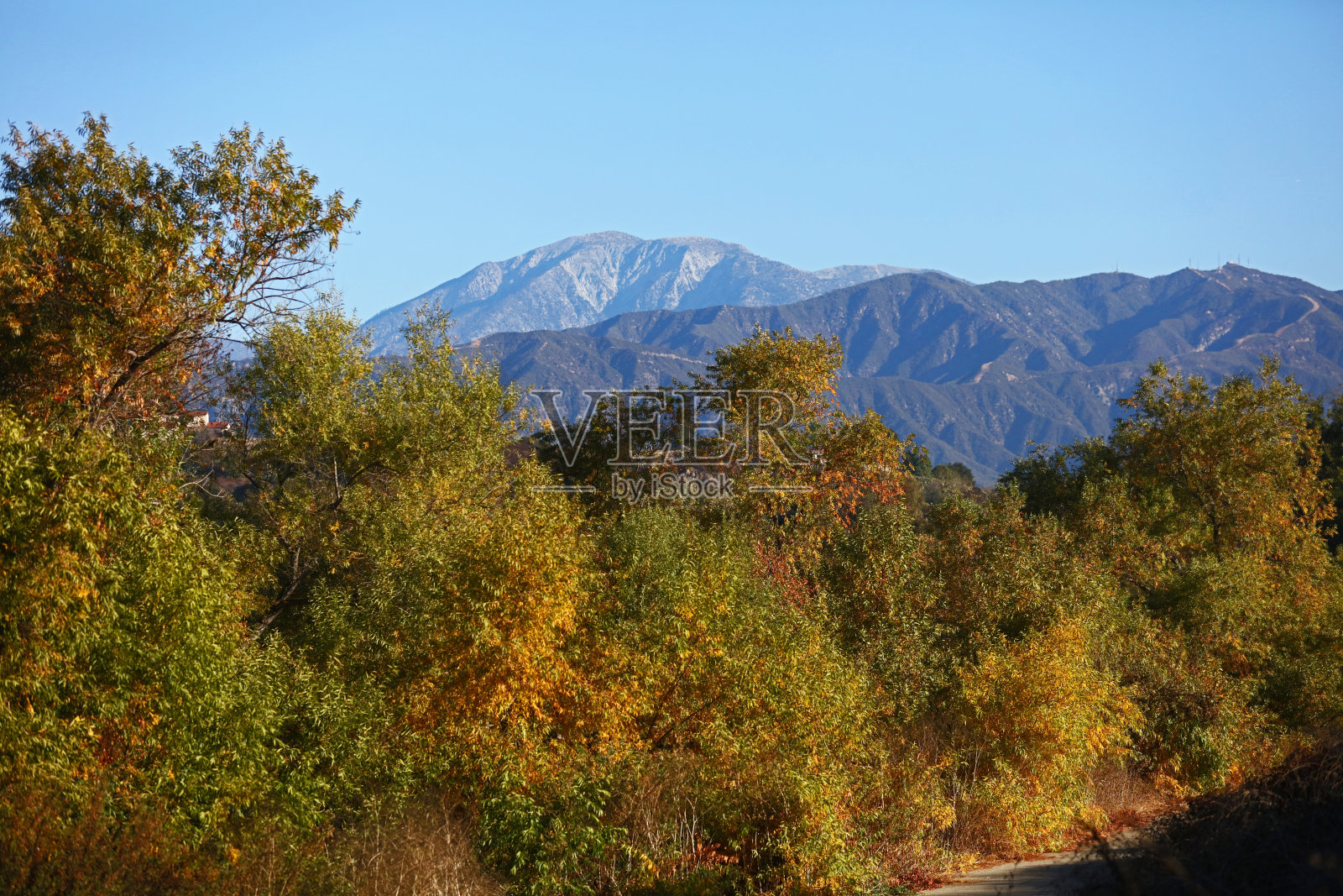 博内利地区公园的巴尔迪山照片摄影图片