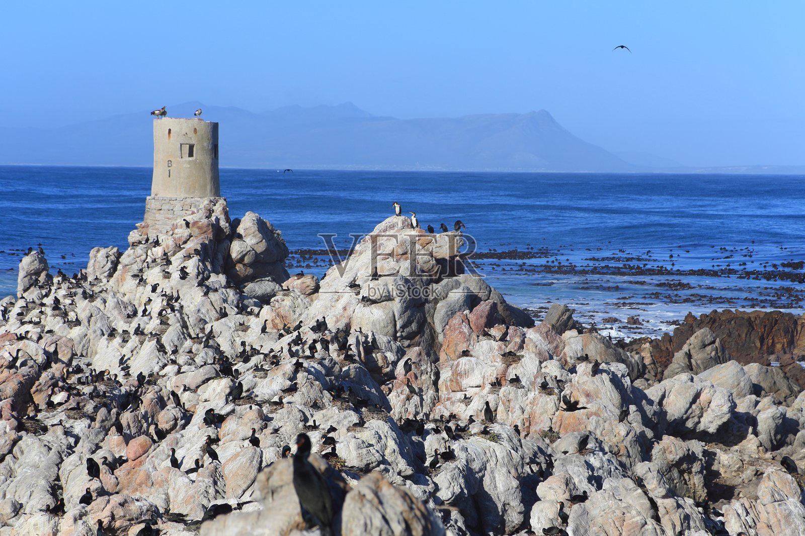 南非海岸照片摄影图片