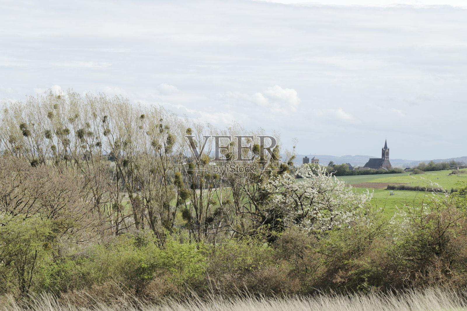 德国艾菲尔的春季风光照片摄影图片
